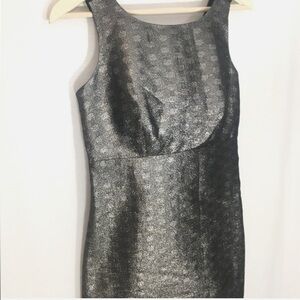 NWT Metallic Holiday Dress